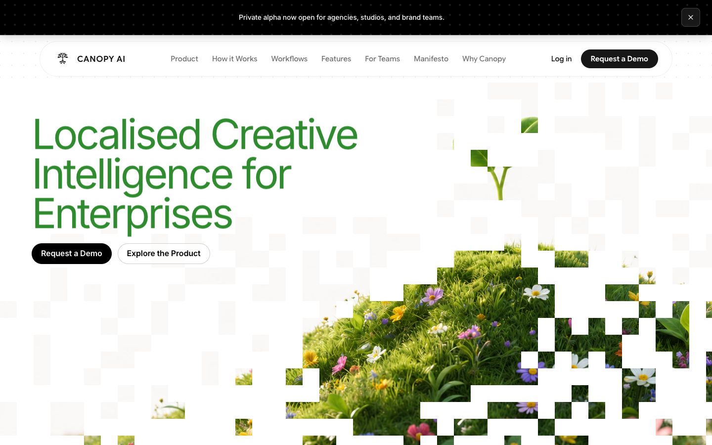 The original trycanopy.space homepage